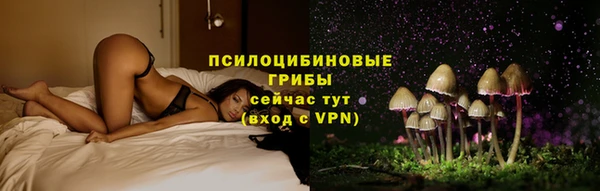 шишки Нея