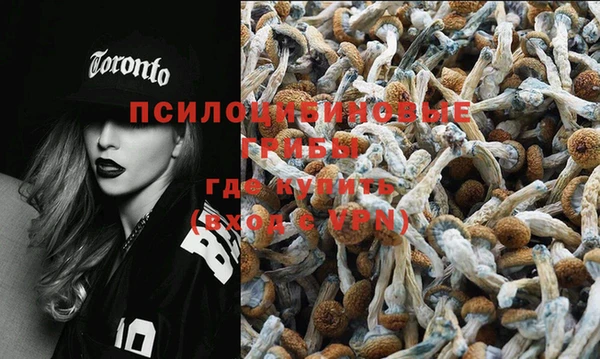 шишки Нея