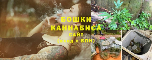 шишки Нея