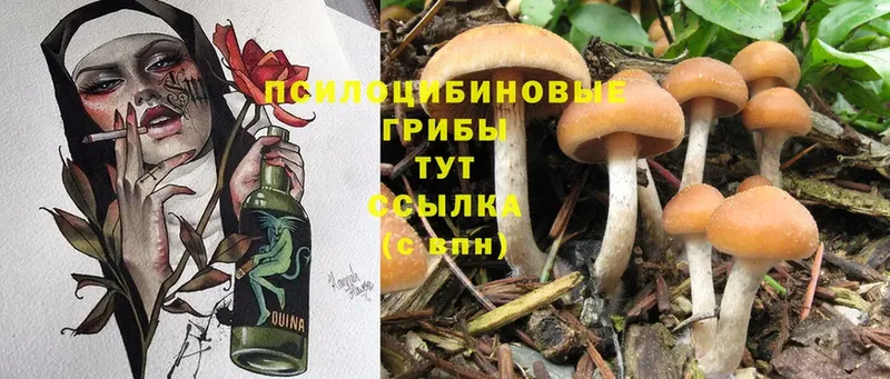 Галлюциногенные грибы Cubensis  MEGA   Балаково 