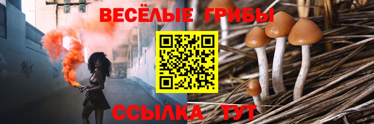 Балаково  Псилоцибиновые грибы Magic Shrooms  Вход с VPN 