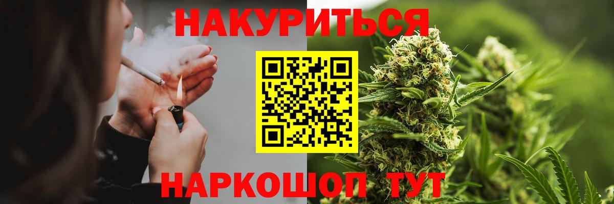 Бошки Шишки планчик Балаково